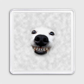 Магнит 55*55 с принтом Собака - улыбака , Пластик | Размер: 65*65 мм; Размер печати: 55*55 мм | животные | зубы | мордочка | пес | прикол | смешная | собака | улыбака | улыбка | щенок | юмор