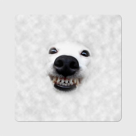 Магнит виниловый Квадрат с принтом Собака - улыбака , полимерный материал с магнитным слоем | размер 9*9 см, закругленные углы | животные | зубы | мордочка | пес | прикол | смешная | собака | улыбака | улыбка | щенок | юмор