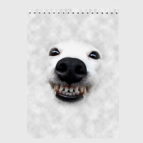 Скетчбук с принтом Собака - улыбака , 100% бумага
 | 48 листов, плотность листов — 100 г/м2, плотность картонной обложки — 250 г/м2. Листы скреплены сверху удобной пружинной спиралью | животные | зубы | мордочка | пес | прикол | смешная | собака | улыбака | улыбка | щенок | юмор