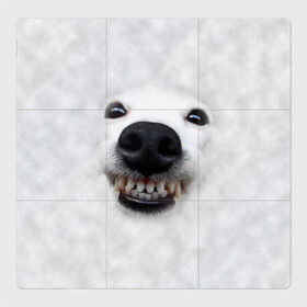 Магнитный плакат 3Х3 с принтом Собака - улыбака , Полимерный материал с магнитным слоем | 9 деталей размером 9*9 см | животные | зубы | мордочка | пес | прикол | смешная | собака | улыбака | улыбка | щенок | юмор