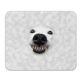 Коврик для мышки прямоугольный с принтом Собака - улыбака , натуральный каучук | размер 230 х 185 мм; запечатка лицевой стороны | животные | зубы | мордочка | пес | прикол | смешная | собака | улыбака | улыбка | щенок | юмор