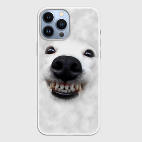 Чехол для iPhone 13 Pro Max с принтом Собака   улыбака ,  |  | Тематика изображения на принте: животные | зубы | мордочка | пес | прикол | смешная | собака | улыбака | улыбка | щенок | юмор