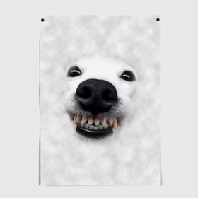 Постер с принтом Собака - улыбака , 100% бумага
 | бумага, плотность 150 мг. Матовая, но за счет высокого коэффициента гладкости имеет небольшой блеск и дает на свету блики, но в отличии от глянцевой бумаги не покрыта лаком | животные | зубы | мордочка | пес | прикол | смешная | собака | улыбака | улыбка | щенок | юмор