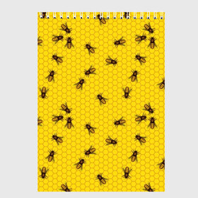 Скетчбук с принтом Пчелы в сотах , 100% бумага
 | 48 листов, плотность листов — 100 г/м2, плотность картонной обложки — 250 г/м2. Листы скреплены сверху удобной пружинной спиралью | bee | beehive | brown | bug | honey | honeycomb | insect | toiler | yellow | букашка | желтый | коричневый | мёд | насекомое | пчела | соты | труженик | улей