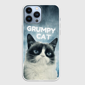 Чехол для iPhone 13 Pro Max с принтом Grumpy Cat ,  |  | Тематика изображения на принте: кот | котики | коты | мем | мемы | сердитый кот