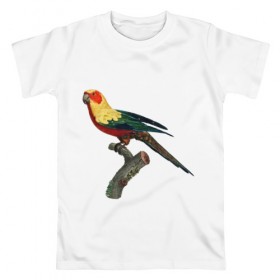 Мужская футболка хлопок с принтом Попугай. Аратинга. , 100% хлопок | прямой крой, круглый вырез горловины, длина до линии бедер, слегка спущенное плечо. | аратинга | бразилия | зоозащита | попугаи | попугайчики | природа | птица | птицы | солнечный