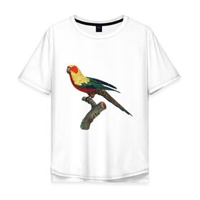 Мужская футболка хлопок Oversize с принтом Попугай. Аратинга. , 100% хлопок | свободный крой, круглый ворот, “спинка” длиннее передней части | Тематика изображения на принте: аратинга | бразилия | зоозащита | попугаи | попугайчики | природа | птица | птицы | солнечный