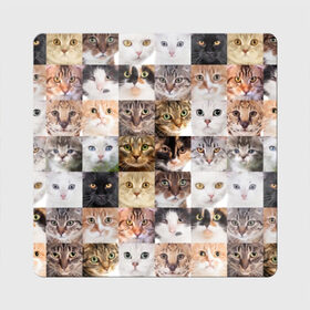 Магнит виниловый Квадрат с принтом Кошачий коллаж , полимерный материал с магнитным слоем | размер 9*9 см, закругленные углы | breed | cat | cats | collage | eyes | fluffy | funny | kitten | look | meow | mustache | muzzle | photo | squares | взгляд | глаза | квадраты | коллаж | кот | котёнок | котики | кошка | мяу | порода | прикольный | пушистый | усы | фото