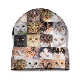 Шапка 3D с принтом Кошачий коллаж , 100% полиэстер | универсальный размер, печать по всей поверхности изделия | breed | cat | cats | collage | eyes | fluffy | funny | kitten | look | meow | mustache | muzzle | photo | squares | взгляд | глаза | квадраты | коллаж | кот | котёнок | котики | кошка | мяу | порода | прикольный | пушистый | усы | фото