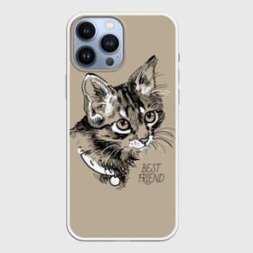 Чехол для iPhone 13 Pro Max с принтом Best friend ,  |  | Тематика изображения на принте: attractive face | cat | collar | cute | drawing | funny | kitten | mustache | touching | забавный | кот | котёнок | милый | ошейник | рисунок | трогательный | усы