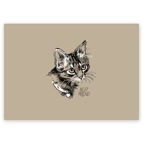 Поздравительная открытка с принтом Best friend , 100% бумага | плотность бумаги 280 г/м2, матовая, на обратной стороне линовка и место для марки
 | attractive face | cat | collar | cute | drawing | funny | kitten | mustache | touching | забавный | кот | котёнок | милый | ошейник | рисунок | трогательный | усы