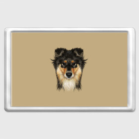 Магнит 45*70 с принтом Sheltie , Пластик | Размер: 78*52 мм; Размер печати: 70*45 | animal | black | breed | brown | cute | dog | drawing | eyes | kind | look | muzzle | portrait | red | взгляд | глаза | добрый | животное | коричневый | милый | пёс | порода | портрет | рисунок | рыжий | собака | черный | шелти