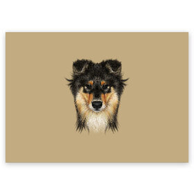 Поздравительная открытка с принтом Sheltie , 100% бумага | плотность бумаги 280 г/м2, матовая, на обратной стороне линовка и место для марки
 | animal | black | breed | brown | cute | dog | drawing | eyes | kind | look | muzzle | portrait | red | взгляд | глаза | добрый | животное | коричневый | милый | пёс | порода | портрет | рисунок | рыжий | собака | черный | шелти