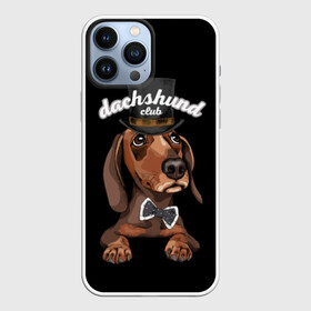 Чехол для iPhone 13 Pro Max с принтом Такса в цилиндре ,  |  | animal | black | bowtie | breed | brown | cool | cylinder | dachshund | dog | gentleman | muzzle | white | белый | галстук  бабочка | джентльмен | животное | коричневый | порода | прикольный | собака | такса | цилиндр | черный