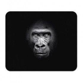 Коврик для мышки прямоугольный с принтом Горилла , натуральный каучук | размер 230 х 185 мм; запечатка лицевой стороны | animal | black | eyes | fauna | gorilla | gray | look | monkey | muzzle | primate | взгляд | глаза | горилла | животное | обезьяна | примат | серый | фауна | черный