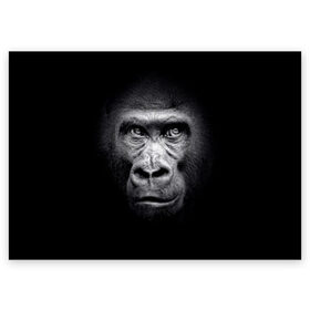 Поздравительная открытка с принтом Горилла , 100% бумага | плотность бумаги 280 г/м2, матовая, на обратной стороне линовка и место для марки
 | animal | black | eyes | fauna | gorilla | gray | look | monkey | muzzle | primate | взгляд | глаза | горилла | животное | обезьяна | примат | серый | фауна | черный