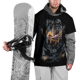 Накидка на куртку 3D с принтом Ротвейлер , 100% полиэстер |  | animal | black | breed | collar | dog | friend | glance | gloss | man | muzzle | rottweiler | взгляд | друг | животное | лоск | ошейник | пёс | порода | ротвейлер | собака | человека | черный