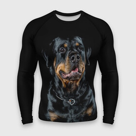 Мужской рашгард 3D с принтом Ротвейлер ,  |  | animal | black | breed | collar | dog | friend | glance | gloss | man | muzzle | rottweiler | взгляд | друг | животное | лоск | ошейник | пёс | порода | ротвейлер | собака | человека | черный