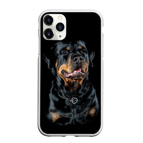 Чехол для iPhone 11 Pro матовый с принтом Ротвейлер , Силикон |  | animal | black | breed | collar | dog | friend | glance | gloss | man | muzzle | rottweiler | взгляд | друг | животное | лоск | ошейник | пёс | порода | ротвейлер | собака | человека | черный