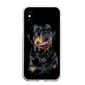 Чехол для iPhone XS Max матовый с принтом Ротвейлер , Силикон | Область печати: задняя сторона чехла, без боковых панелей | animal | black | breed | collar | dog | friend | glance | gloss | man | muzzle | rottweiler | взгляд | друг | животное | лоск | ошейник | пёс | порода | ротвейлер | собака | человека | черный