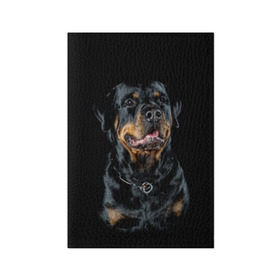 Обложка для паспорта матовая кожа с принтом Ротвейлер , натуральная матовая кожа | размер 19,3 х 13,7 см; прозрачные пластиковые крепления | animal | black | breed | collar | dog | friend | glance | gloss | man | muzzle | rottweiler | взгляд | друг | животное | лоск | ошейник | пёс | порода | ротвейлер | собака | человека | черный