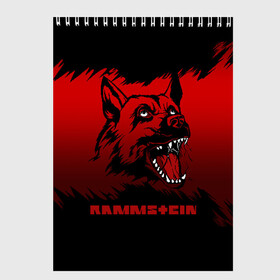 Скетчбук с принтом Rammstein dog , 100% бумага
 | 48 листов, плотность листов — 100 г/м2, плотность картонной обложки — 250 г/м2. Листы скреплены сверху удобной пружинной спиралью | 2019 | dog | du hast | german | lindemann | rammstein | rammsteinfan | ramstein | till | группы | линдеманн | метал | музыка | овчарка | рамштаин | рамштайн | рамштейн | рок | собака | тилль | тиль