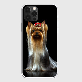 Чехол для iPhone 12 Pro Max с принтом Йоркширский терьер , Силикон |  | animal | barrette | breed | cute | dog | funny | muzzle | small | terrier | yorkshire | животное | забавный | заколка | йоркширский | маленький | милый | порода | смешной | собака | терьер