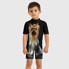 Детский купальный костюм 3D с принтом Йоркширский терьер , Полиэстер 85%, Спандекс 15% | застежка на молнии на спине | animal | barrette | breed | cute | dog | funny | muzzle | small | terrier | yorkshire | животное | забавный | заколка | йоркширский | маленький | милый | порода | смешной | собака | терьер
