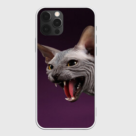 Чехол для iPhone 12 Pro Max с принтом Сфинкс , Силикон |  | aggressive | angry | animal | bald | breed | cat | dangerous | fangs | gray | purple | sphinx | агрессивный | животное | злой | клыки | кот | лысый | опасный | порода | серый | сфинкс | фиолетовый