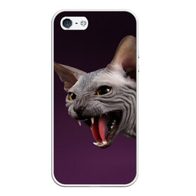 Чехол для iPhone 5/5S матовый с принтом Сфинкс , Силикон | Область печати: задняя сторона чехла, без боковых панелей | aggressive | angry | animal | bald | breed | cat | dangerous | fangs | gray | purple | sphinx | агрессивный | животное | злой | клыки | кот | лысый | опасный | порода | серый | сфинкс | фиолетовый