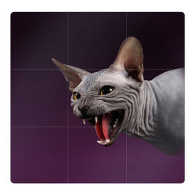 Магнитный плакат 3Х3 с принтом Сфинкс , Полимерный материал с магнитным слоем | 9 деталей размером 9*9 см | aggressive | angry | animal | bald | breed | cat | dangerous | fangs | gray | purple | sphinx | агрессивный | животное | злой | клыки | кот | лысый | опасный | порода | серый | сфинкс | фиолетовый