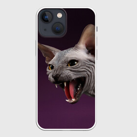 Чехол для iPhone 13 mini с принтом Сфинкс ,  |  | aggressive | angry | animal | bald | breed | cat | dangerous | fangs | gray | purple | sphinx | агрессивный | животное | злой | клыки | кот | лысый | опасный | порода | серый | сфинкс | фиолетовый