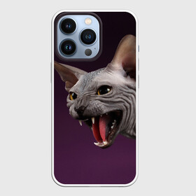 Чехол для iPhone 13 Pro с принтом Сфинкс ,  |  | aggressive | angry | animal | bald | breed | cat | dangerous | fangs | gray | purple | sphinx | агрессивный | животное | злой | клыки | кот | лысый | опасный | порода | серый | сфинкс | фиолетовый