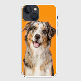 Чехол для iPhone 13 mini с принтом Австралийская овчарка ,  |  | animal | australian | breed | cute | dog | ears | funny | look | muzzle | red | shepherd | tongue | white | австралийская | белый | взгляд | животное | забавный | милый | овчарка | порода | рыжий | смешной | собака | уши | язык