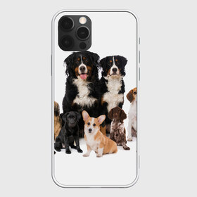 Чехол для iPhone 12 Pro Max с принтом Породистые собаки , Силикон |  | animal | bernese | breed | bulldog | corgi | cute | dog | french | funny | jack | labrador | mountain dog | muzzle | paws | pug | puppy | spaniel | бернский | бульдог | джек рассел | животное | забавный | зенненхунд | корги | лабрадор | лапы | милый