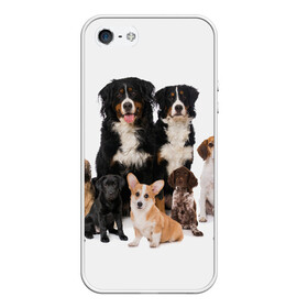 Чехол для iPhone 5/5S матовый с принтом Породистые собаки , Силикон | Область печати: задняя сторона чехла, без боковых панелей | animal | bernese | breed | bulldog | corgi | cute | dog | french | funny | jack | labrador | mountain dog | muzzle | paws | pug | puppy | spaniel | бернский | бульдог | джек рассел | животное | забавный | зенненхунд | корги | лабрадор | лапы | милый