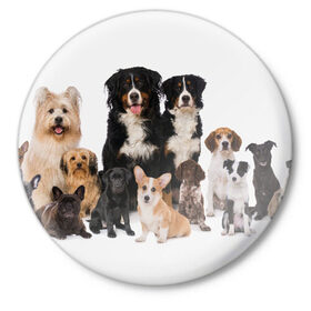 Значок с принтом Породистые собаки ,  металл | круглая форма, металлическая застежка в виде булавки | animal | bernese | breed | bulldog | corgi | cute | dog | french | funny | jack | labrador | mountain dog | muzzle | paws | pug | puppy | spaniel | бернский | бульдог | джек рассел | животное | забавный | зенненхунд | корги | лабрадор | лапы | милый
