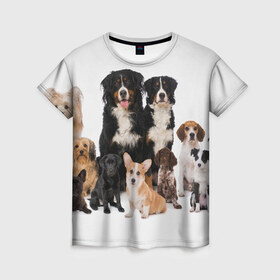 Женская футболка 3D с принтом Породистые собаки , 100% полиэфир ( синтетическое хлопкоподобное полотно) | прямой крой, круглый вырез горловины, длина до линии бедер | animal | bernese | breed | bulldog | corgi | cute | dog | french | funny | jack | labrador | mountain dog | muzzle | paws | pug | puppy | spaniel | бернский | бульдог | джек рассел | животное | забавный | зенненхунд | корги | лабрадор | лапы | милый