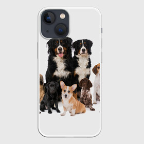 Чехол для iPhone 13 mini с принтом Породистые собаки ,  |  | animal | bernese | breed | bulldog | corgi | cute | dog | french | funny | jack | labrador | mountain dog | muzzle | paws | pug | puppy | spaniel | бернский | бульдог | джек рассел | животное | забавный | зенненхунд | корги | лабрадор | лапы | милый
