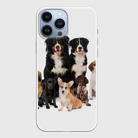Чехол для iPhone 13 Pro Max с принтом Породистые собаки ,  |  | animal | bernese | breed | bulldog | corgi | cute | dog | french | funny | jack | labrador | mountain dog | muzzle | paws | pug | puppy | spaniel | бернский | бульдог | джек рассел | животное | забавный | зенненхунд | корги | лабрадор | лапы | милый