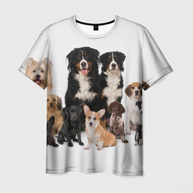 Мужская футболка 3D с принтом Породистые собаки , 100% полиэфир | прямой крой, круглый вырез горловины, длина до линии бедер | animal | bernese | breed | bulldog | corgi | cute | dog | french | funny | jack | labrador | mountain dog | muzzle | paws | pug | puppy | spaniel | бернский | бульдог | джек рассел | животное | забавный | зенненхунд | корги | лабрадор | лапы | милый