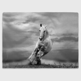 Плед 3D с принтом Белая лошадь , 100% полиэстер | закругленные углы, все края обработаны. Ткань не мнется и не растягивается | Тематика изображения на принте: animal | beautiful | gloss | horse | mane | mustang | muzzle | nature | white | wild | белый | грива | дикий | животное | конь | красивый | лоск | лошадь | мустанг | природа | скакун