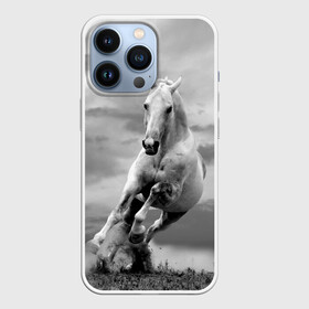 Чехол для iPhone 13 Pro с принтом Белая лошадь ,  |  | Тематика изображения на принте: animal | beautiful | gloss | horse | mane | mustang | muzzle | nature | white | wild | белый | грива | дикий | животное | конь | красивый | лоск | лошадь | мустанг | природа | скакун