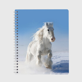 Тетрадь с принтом Белый скакун , 100% бумага | 48 листов, плотность листов — 60 г/м2, плотность картонной обложки — 250 г/м2. Листы скреплены сбоку удобной пружинной спиралью. Уголки страниц и обложки скругленные. Цвет линий — светло-серый
 | animal | beautiful | gloss | horse | mane | mustang | muzzle | nature | snow | white | wild | winter | белый | грива | дикий | животное | зима | конь | красивый | лоск | лошадь | мустанг | природа | скакун | снег