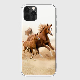 Чехол для iPhone 12 Pro Max с принтом Лошадь с жеребенком , Силикон |  | Тематика изображения на принте: animal | baby | beautiful | brown | desert | foal | horse | mustang | nature | wild | дикий | жеребенок | животное | конь | коричневый | красивый | лошадь | малыш | мустанг | природа | пустыня | скакун