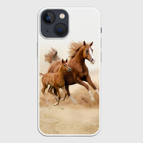 Чехол для iPhone 13 mini с принтом Лошадь с жеребенком ,  |  | animal | baby | beautiful | brown | desert | foal | horse | mustang | nature | wild | дикий | жеребенок | животное | конь | коричневый | красивый | лошадь | малыш | мустанг | природа | пустыня | скакун