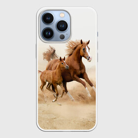 Чехол для iPhone 13 Pro с принтом Лошадь с жеребенком ,  |  | animal | baby | beautiful | brown | desert | foal | horse | mustang | nature | wild | дикий | жеребенок | животное | конь | коричневый | красивый | лошадь | малыш | мустанг | природа | пустыня | скакун