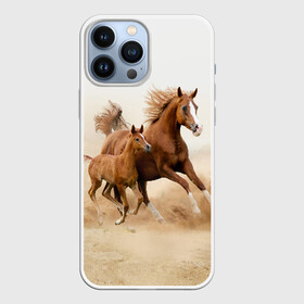 Чехол для iPhone 13 Pro Max с принтом Лошадь с жеребенком ,  |  | Тематика изображения на принте: animal | baby | beautiful | brown | desert | foal | horse | mustang | nature | wild | дикий | жеребенок | животное | конь | коричневый | красивый | лошадь | малыш | мустанг | природа | пустыня | скакун