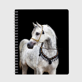 Тетрадь с принтом Серый в яблоках конь , 100% бумага | 48 листов, плотность листов — 60 г/м2, плотность картонной обложки — 250 г/м2. Листы скреплены сбоку удобной пружинной спиралью. Уголки страниц и обложки скругленные. Цвет линий — светло-серый
 | animal | beautiful | black | eyes | gloss | gray | harness | horse | in apples | look | muzzle | spotted | white | белый | в яблоках | взгляд | глаза | животное | конь | красивый | лоск | лошадь | пятнистый | сбруя | серый | скакун | черный
