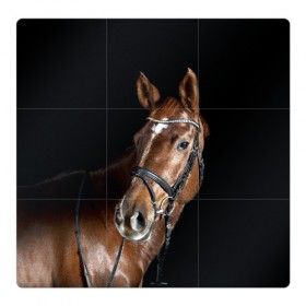 Магнитный плакат 3Х3 с принтом Гнедая лошадь , Полимерный материал с магнитным слоем | 9 деталей размером 9*9 см | Тематика изображения на принте: animal | beautiful | black | brown | eyes | gloss | horse | look | muscles | muzzle | portrait | взгляд | глаза | гнедая | животное | конь | коричневый | красивый | лоск | лошадь | мускулы | портрет | скакун | черный